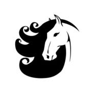 Vector silhouette of a horse head N7