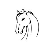 Vector silhouette of a horse head N8