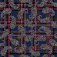 Paisley pattern N63