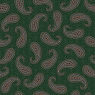 Paisley pattern N69