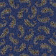 Paisley pattern N80