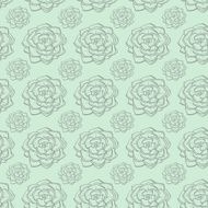 Succulents and cactus vector handpainted seamless pattern N4