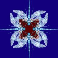 butterfly pattern N8