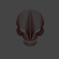 Geometric Lines - Skeleton Design