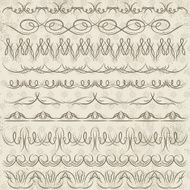 Set of Lace Paper with flower vector