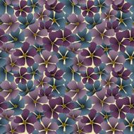 elegant seamless floral pattern N2