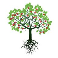 Tree Green Leafs Roots and Red Apples Vector Illustration