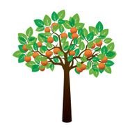 Orange Tree and Fruits Vector Illustration N2