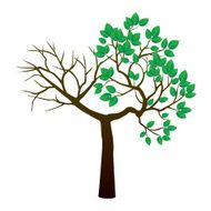 Tree and Leafs Vector Illustration