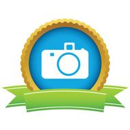 Gold camera logo N2