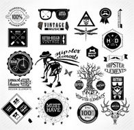 hipster label icon elements N20