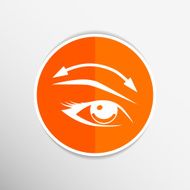 Eyelashes eyebrows eyelash eye vector icon makeup isolated