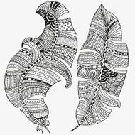 Vector set of feathers on a white background N2