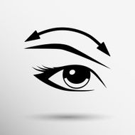 Eyelashes eyebrows eyelash eye vector icon makeup isolated N2
