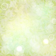 Vector summer floral background N2
