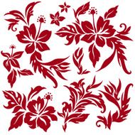 Hibiscus flower illustration N7