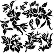 Hibiscus flower illustration N9