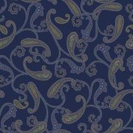 Paisley pattern N99