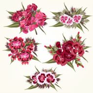 Set of vector pink flowers in detailed and realistic style