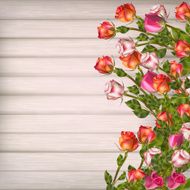 Greeting card with roses EPS 10 N5