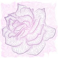Rose Outline N3