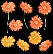 Marguerite illustration