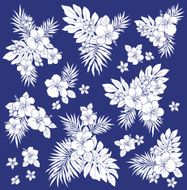 Hibiscus flower illustration N11