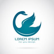 Vector image of swan design on a white background