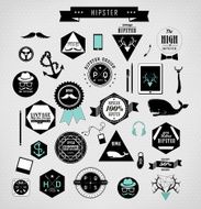 Hipster style elements and icons N15