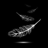 flying feathers with black background EPS 10 Vector