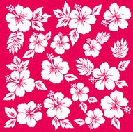 Hibiscus flower illustration N19