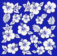Hibiscus flower illustration N20