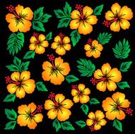 Hibiscus flower illustration N21