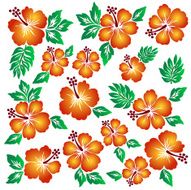 Hibiscus flower illustration N22