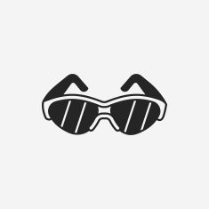sunglasses icon N24