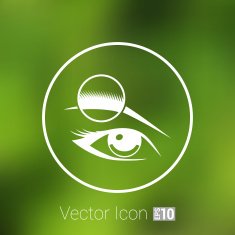 Human eye vector isolated eyebrow female makeup beauty eyesight