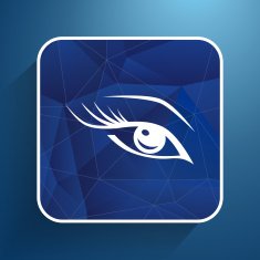 vector blue eye with long lashes woman makeup beauty symbol N2