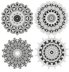 Floral Ornament Pattern N3