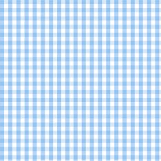 Seamless blue plaid pattern N3