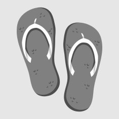 Flip Flops N10