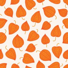 Seamless pattern with physalis