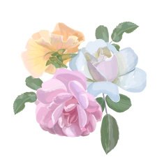 Bouquet of watercolor roses for invitation or greeting card wedding