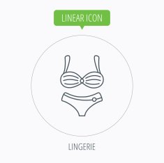 Lingerie icon Women underwear sign N26