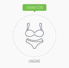 Lingerie icon Women underwear sign N27