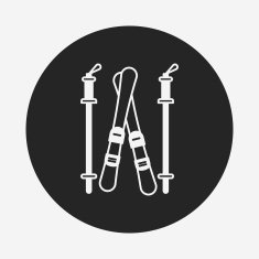 Ski board icon