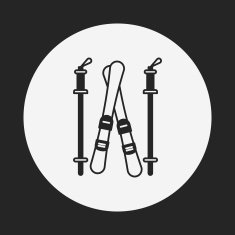 Ski board icon N3