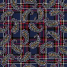 Paisley pattern N63