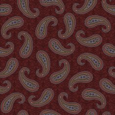 Paisley illustration pattern N57