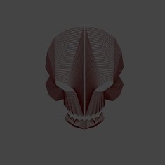 Geometric Lines - Skeleton Design