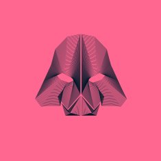 Geometric Lines - Mask Design N2